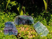Polished On One Side Watermelon Fluorite Slices x 3 From Uis, Namibia