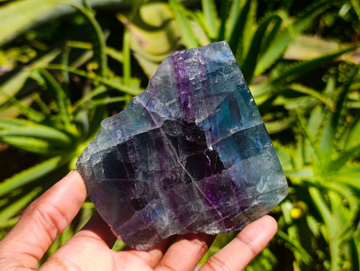 Polished On One Side Watermelon Fluorite Slices x 3 From Uis, Namibia - Toprock Gemstones and Minerals 