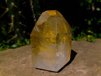 Polished Clear Quartz Crystals x 3 From Madagascar