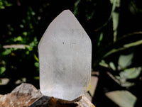 Polished Clear Quartz Crystals x 3 From Madagascar