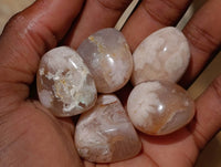 Polished Flower Agate Free Forms x 70 From Antsahalova, Madagascar