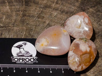 Polished Flower Agate Free Forms x 70 From Antsahalova, Madagascar