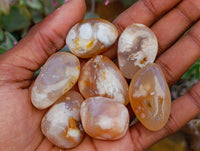 Polished Flower Agate Free Forms x 70 From Antsahalova, Madagascar