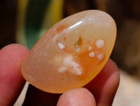Polished Flower Agate Free Forms x 70 From Antsahalova, Madagascar