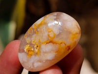 Polished Flower Agate Free Forms x 70 From Antsahalova, Madagascar