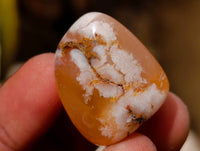 Polished Flower Agate Free Forms x 70 From Antsahalova, Madagascar