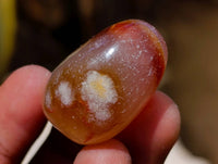 Polished Flower Agate Free Forms x 70 From Antsahalova, Madagascar