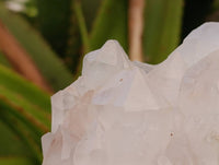 Natural White Candle Quartz Crystals x 6 From Madagascar