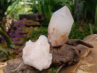 Natural White Candle Quartz Crystals x 6 From Madagascar