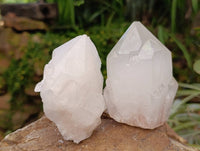 Natural White Candle Quartz Crystals x 6 From Madagascar