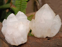 Natural White Candle Quartz Crystals x 6 From Madagascar