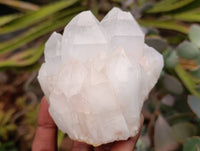 Natural White Candle Quartz Crystals x 6 From Madagascar