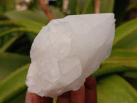 Natural White Candle Quartz Crystals x 6 From Madagascar
