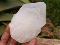 Natural White Candle Quartz Crystals x 6 From Madagascar