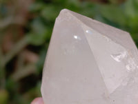 Natural White Candle Quartz Crystals x 6 From Madagascar