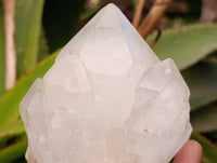 Natural White Candle Quartz Crystals x 6 From Madagascar