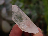 Natural Mine Run Quartz Crystals x 1.67 Kg Lot From Madagascar