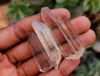 Natural Mine Run Quartz Crystals x 1.67 Kg Lot From Madagascar