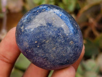 Polished Lazulite Galets x 20 From Madagascar