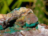 Natural Drusy Coated Hemimorphite with Malachite x 2 From Lupoto Mine, Congo