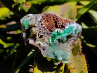 Natural Drusy Coated Hemimorphite with Malachite x 2 From Lupoto Mine, Congo
