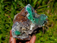 Natural Drusy Coated Hemimorphite with Malachite x 2 From Lupoto Mine, Congo