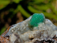 Natural Drusy Coated Hemimorphite with Malachite x 2 From Lupoto Mine, Congo