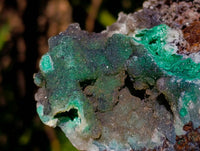 Natural Drusy Coated Hemimorphite with Malachite x 2 From Lupoto Mine, Congo