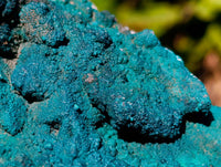Natural Drusy Coated Hemimorphite with Malachite x 2 From Lupoto Mine, Congo