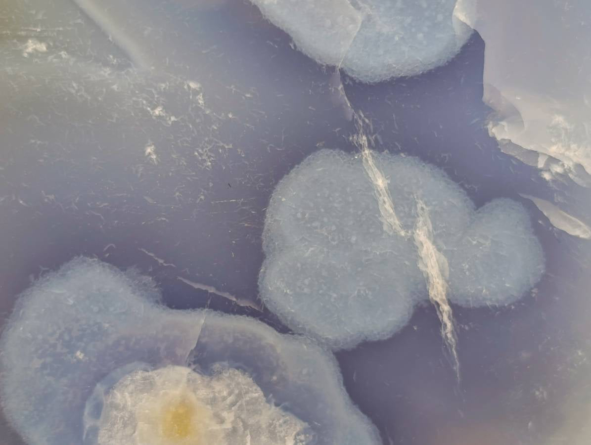 Polished XL Blue Lace Agate Standing Free Form x 1 From Nsanje, Malawi