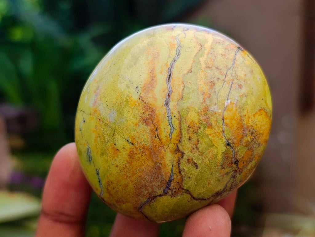 Polished Green Opal Galets x 12 From Betroka, Madagascar