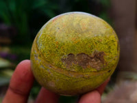 Polished Green Opal Galets x 12 From Betroka, Madagascar