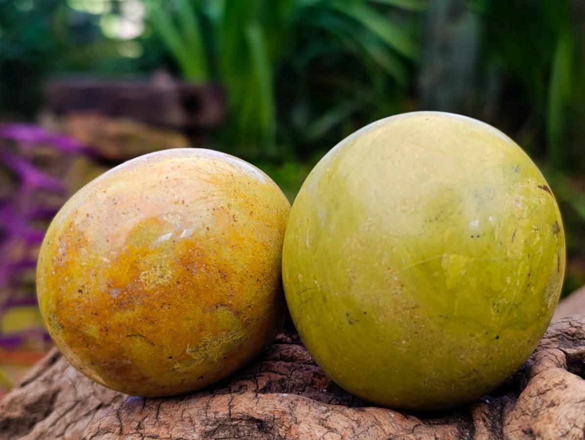 Polished Green Opal Galets x 12 From Betroka, Madagascar