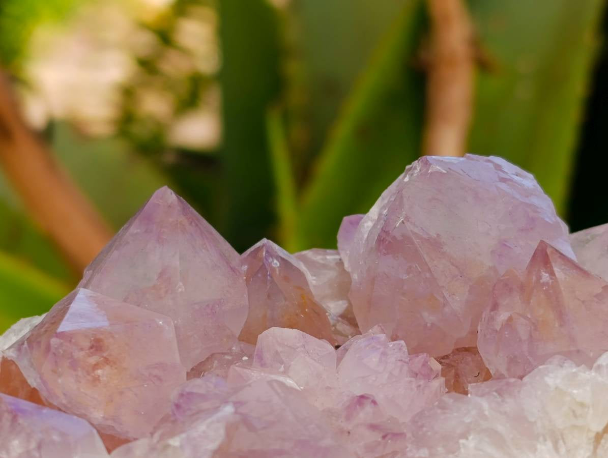 Natural Sunburst Amethyst Spirit Quartz Clusters x 3 From Boekenhouthoek, South Africa