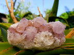 Natural Sunburst Amethyst Spirit Quartz Clusters x 3 From Boekenhouthoek, South Africa
