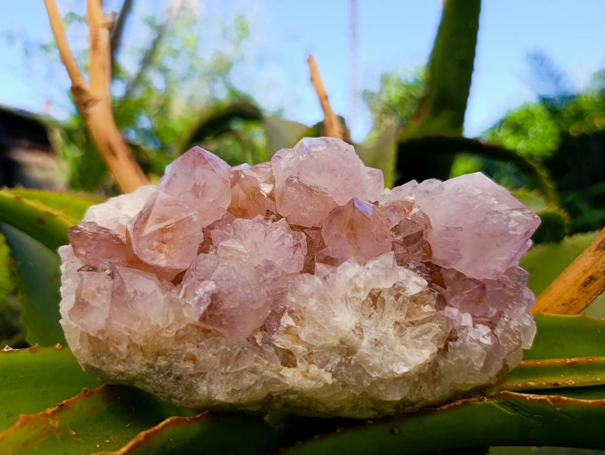 Natural Sunburst Amethyst Spirit Quartz Clusters x 3 From Boekenhouthoek, South Africa