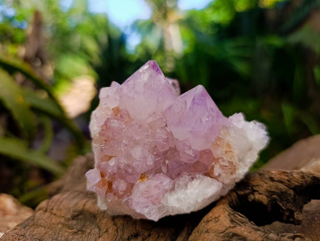 Natural Sunburst Amethyst Spirit Quartz Clusters x 3 From Boekenhouthoek, South Africa