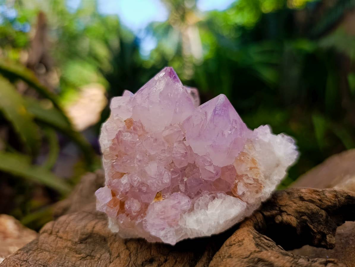 Natural Sunburst Amethyst Spirit Quartz Clusters x 3 From Boekenhouthoek, South Africa