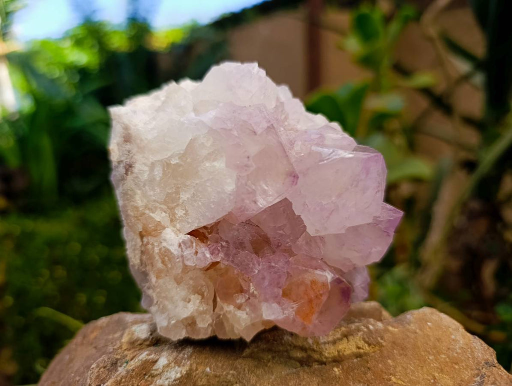Natural Sunburst Amethyst Spirit Quartz Clusters x 3 From Boekenhouthoek, South Africa
