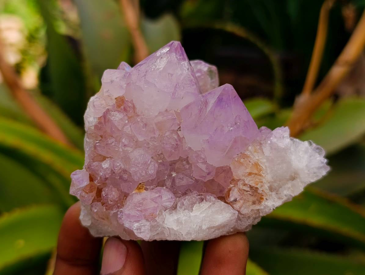 Natural Sunburst Amethyst Spirit Quartz Clusters x 3 From Boekenhouthoek, South Africa