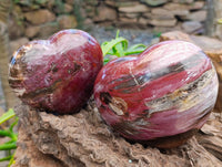 Polished Red Podocarpus Petrified Wood Hearts x 2 From Mahajanga, Madagascar