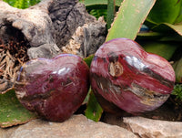 Polished Red Podocarpus Petrified Wood Hearts x 2 From Mahajanga, Madagascar