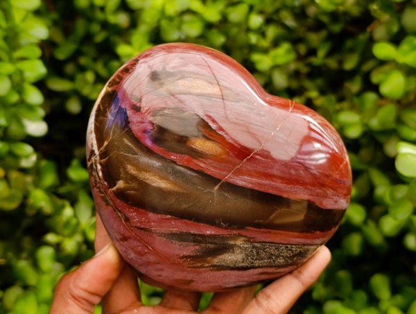 Polished Red Podocarpus Petrified Wood Hearts x 2 From Mahajanga, Madagascar