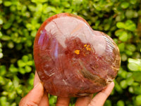 Polished Red Podocarpus Petrified Wood Hearts x 2 From Mahajanga, Madagascar