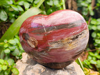 Polished Red Podocarpus Petrified Wood Hearts x 2 From Mahajanga, Madagascar