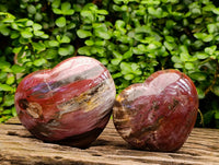 Polished Red Podocarpus Petrified Wood Hearts x 2 From Mahajanga, Madagascar
