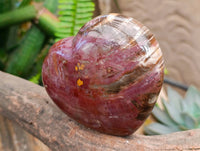 Polished Red Podocarpus Petrified Wood Hearts x 2 From Mahajanga, Madagascar