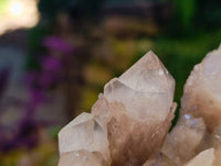Natural Luena Smokey Phantom Quartz Clusters x 2 From Congo