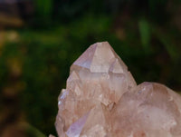 Natural Luena Smokey Phantom Quartz Clusters x 2 From Congo