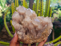 Natural Luena Smokey Phantom Quartz Clusters x 2 From Congo